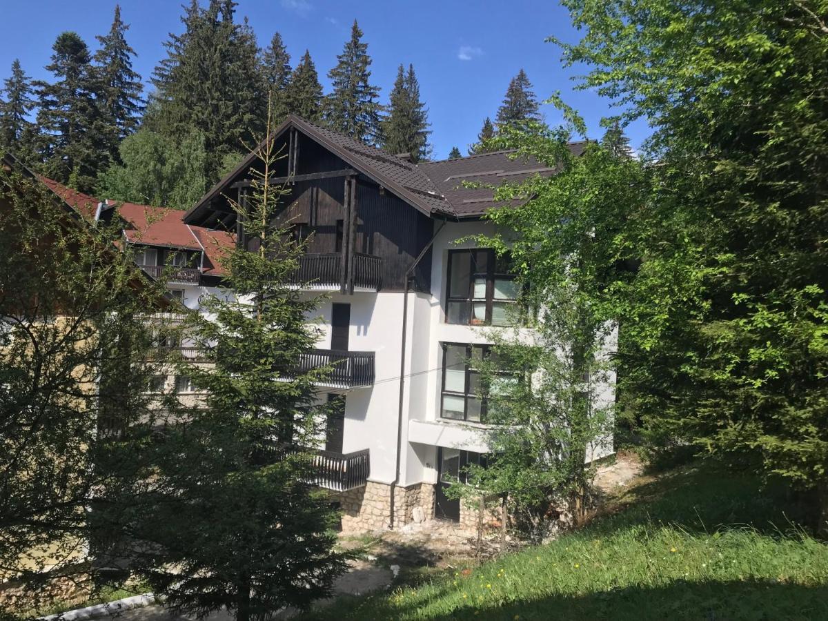 פויאנה ברשוב Montana Residence מראה חיצוני תמונה